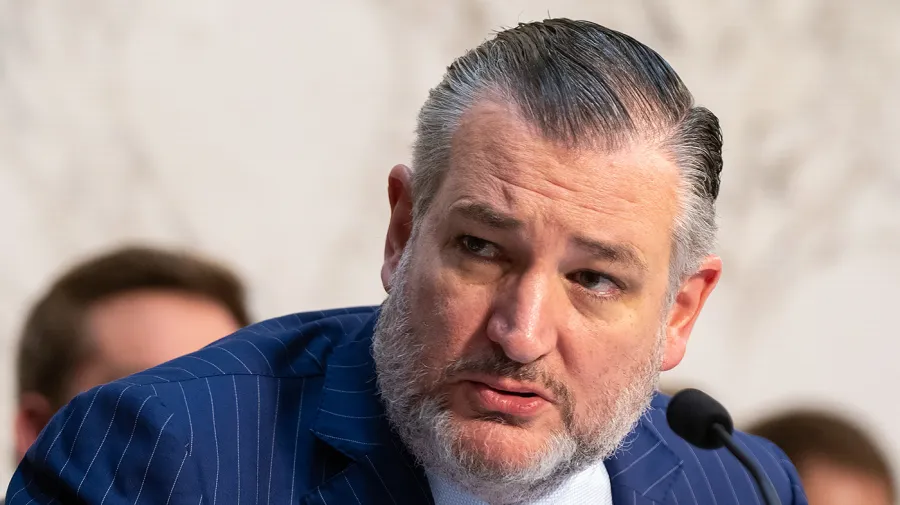 Cruz: Talarico, Teksas Senatosu yarışında Paxton'ı geçme şansına sahip