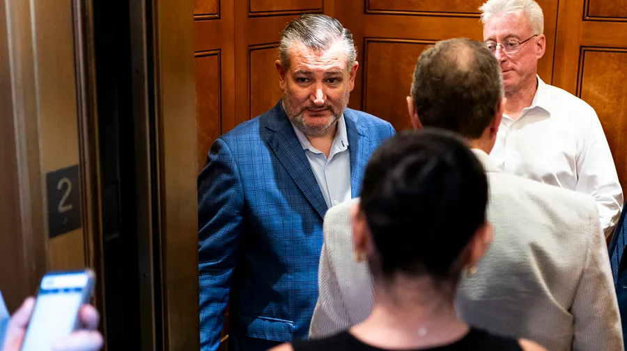 Cruz, Trump'a karşı Georgia ve Güney Carolina valilik yarışlarında