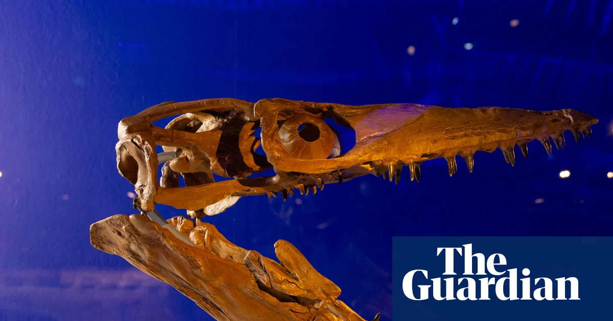 Denizlerin Dev Avcıları: Jurassic Okyanuslar Sergisi Londra'da