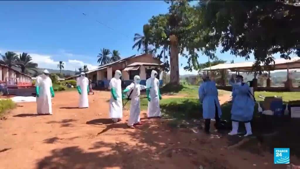 DSÖ: Ebola ile mücadelede ilerleme kaydediliyor, DRC'de 344 vaka