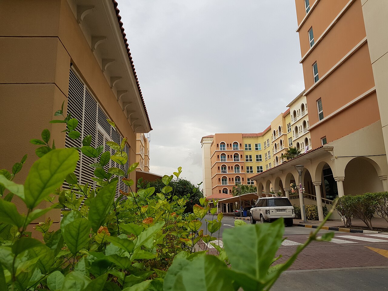 Dubai DIP, BAE'nin Savaş Sonrası İlk Halka Arzı İçin Toplantı Düzenliyor