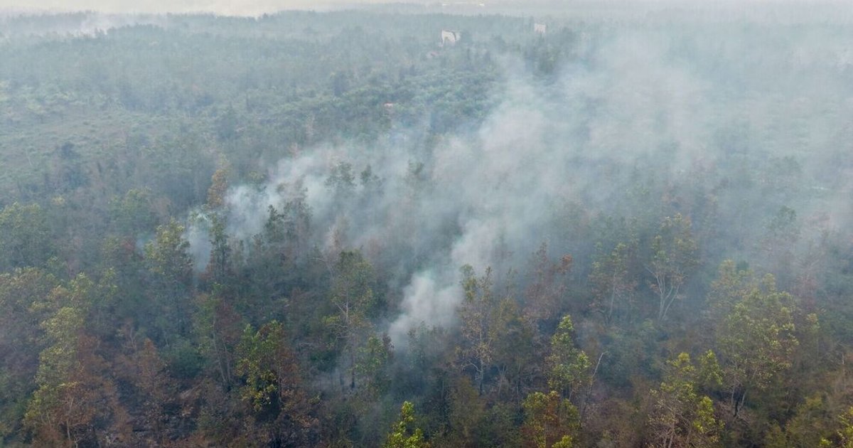 Dünya Nüfusunun Üçte Biri Zararlı Hava Kirliliğine Maruz