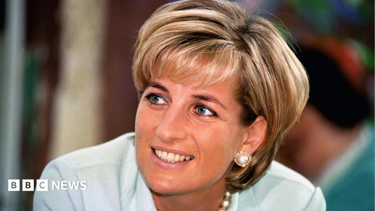 Earl Spencer'ın Diana Kitabı Hollanda'da Çalındı