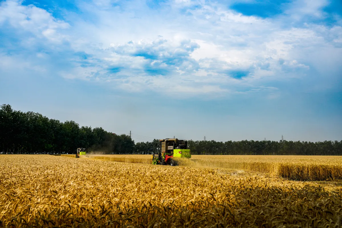 El Niño 2027'de Küresel Gıda Krizini Tetikleyebilir