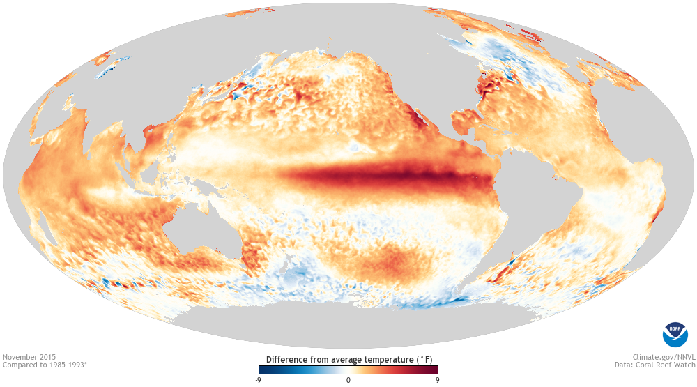 El Niño, Asya'nın Pirinç Havzasını Vurdu: Çiftçiler İki Krizle Karşı Karşıya