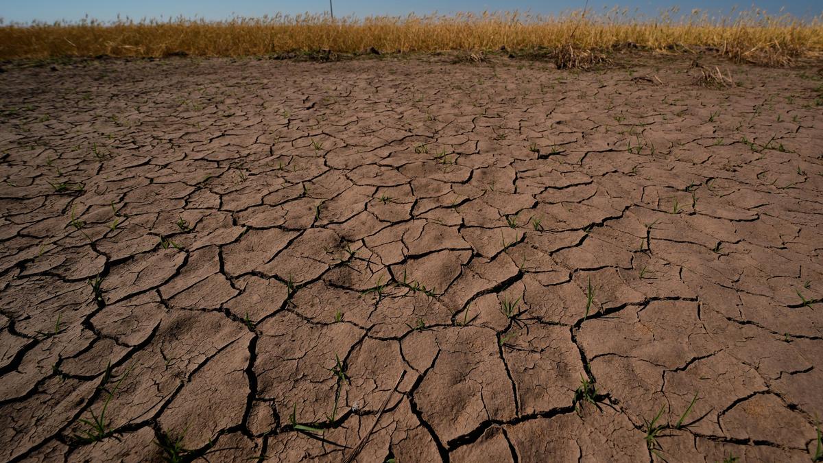 El Niño Geldi: Daha Sıcak, Daha Kurak, Daha Yıkıcı Olacak