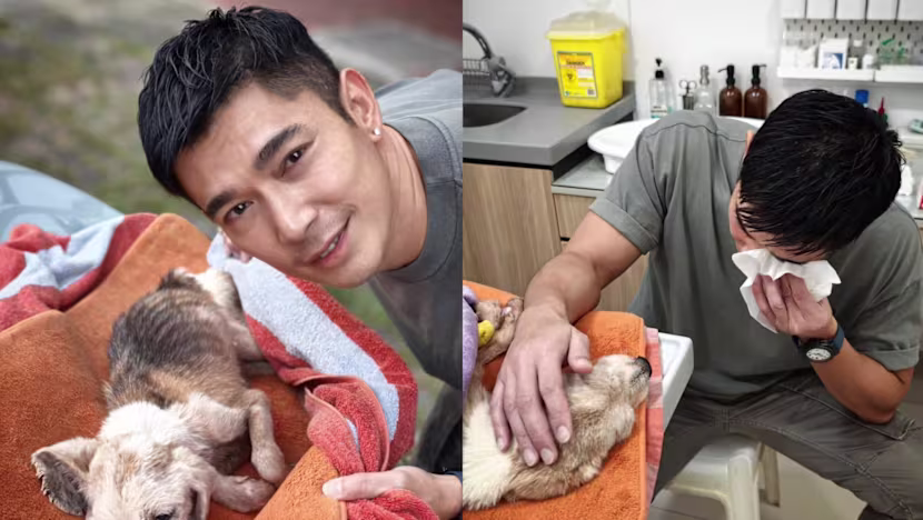 Elvin Ng, sağlığı bozulan 17 yaşındaki köpeğini uyutmak zorunda kaldı