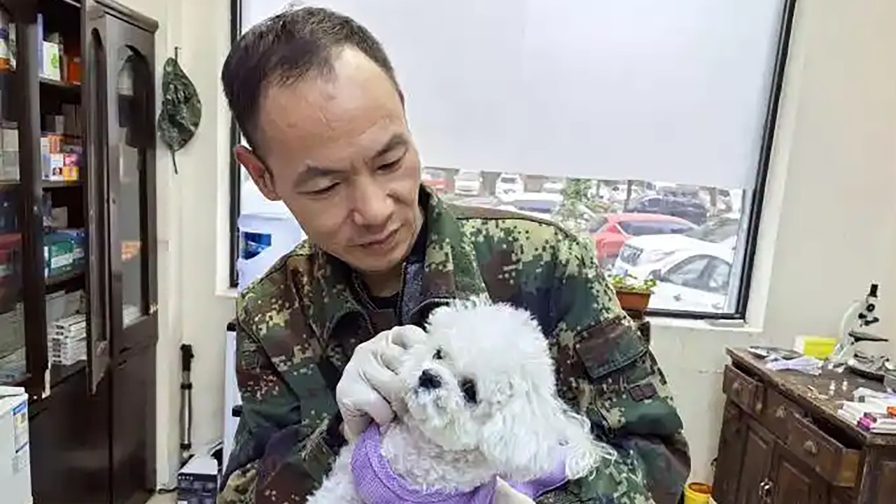 Emekli Çinli köpek eğitmeni ucuz bakımla 5 milyon takipçiye ulaştı