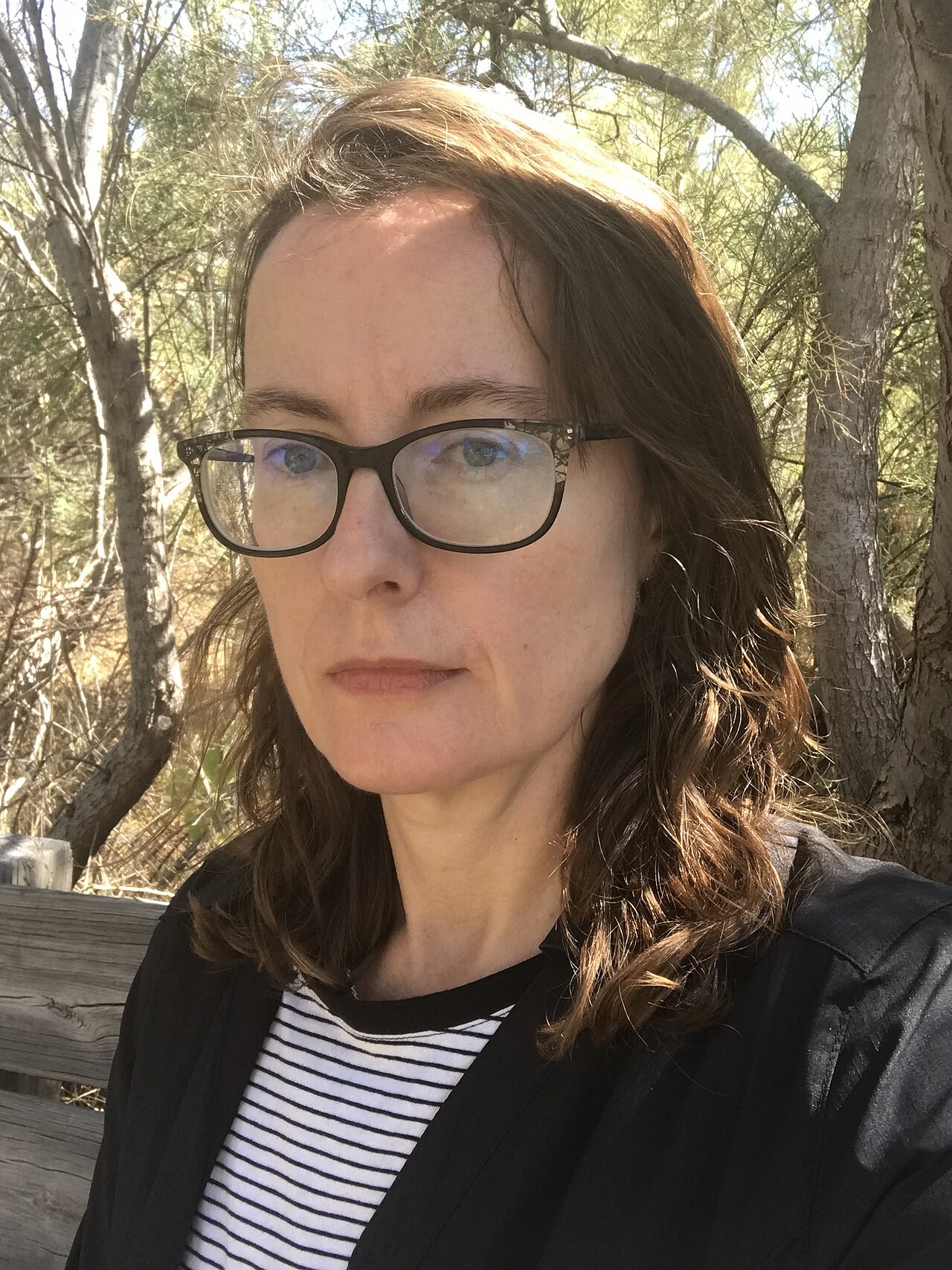 Emily Wilson, Nolan'ın Odyssey'ini Sevmek İstedi