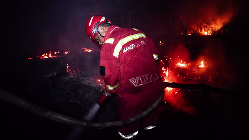Endonezya orman yangınlarına karşı dış yardımı değerlendirecek