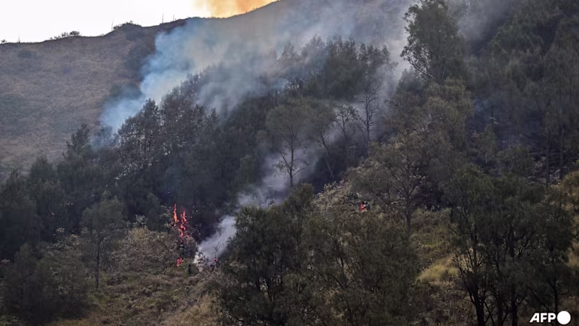 Endonezya'daki Orman Yangınlarına Koordineli Müdahale Emri