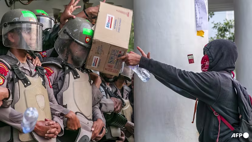 Endonezya'da Orman Yangınları ve Zehirli Sis Öfke Yarattı