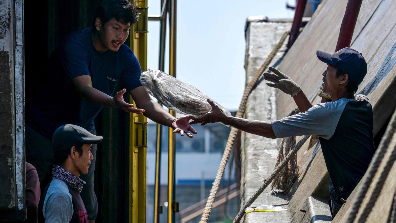 Endonezyalı balıkçıların sömürü zinciri: Sahte vaatlerle okyanusta kölelik