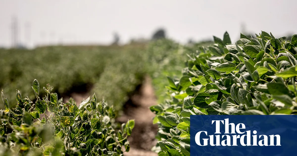 EPA, Bayer'e yıkıcı ot öldürücü kurallarını seçtirdi