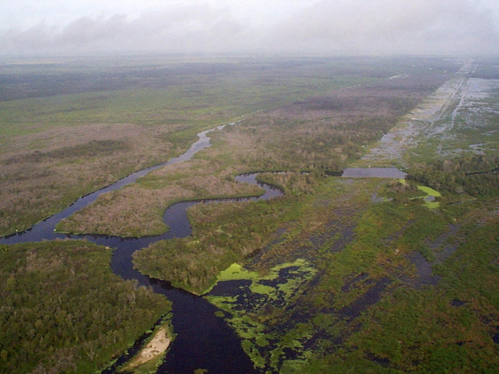 Everglades'te Suyun Geri Dönüşü: Çevre İçin Tarihi Adım