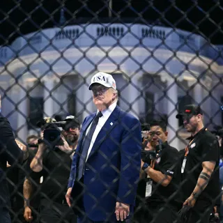 FBI, Trump’ın UFC etkinliğine yönelik suikast planını önledi