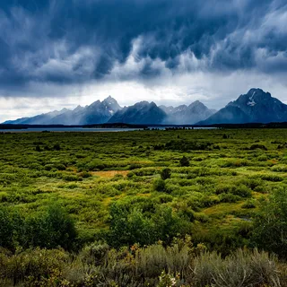 Fed Başkanı Warsh Jackson Hole'da Piyasalara Mesaj Vermeye Çalışıyor
