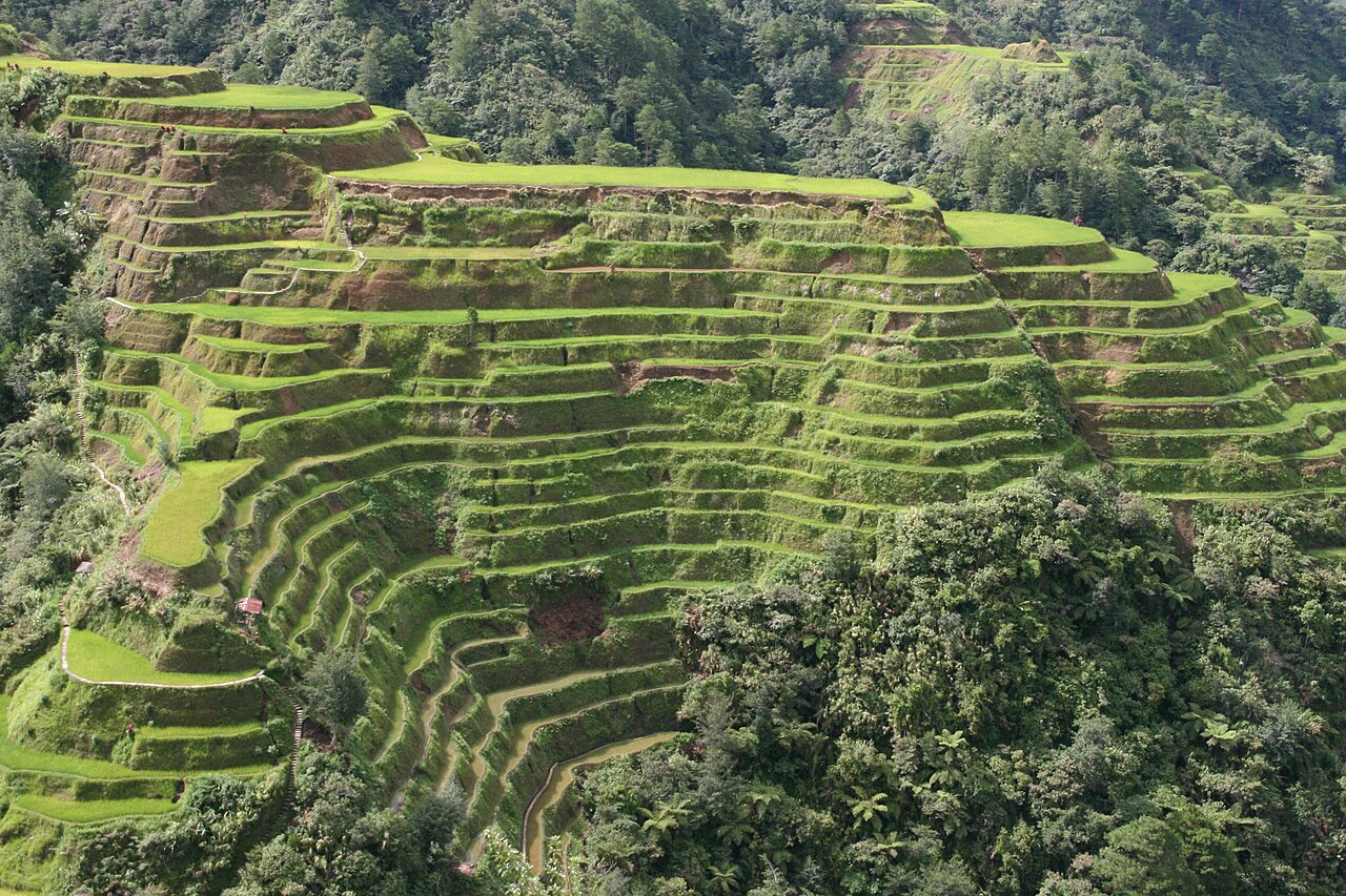 Filipinler'deki UNESCO Pirinç Terasları İklim Tehdidiyle Karşı Karşıya