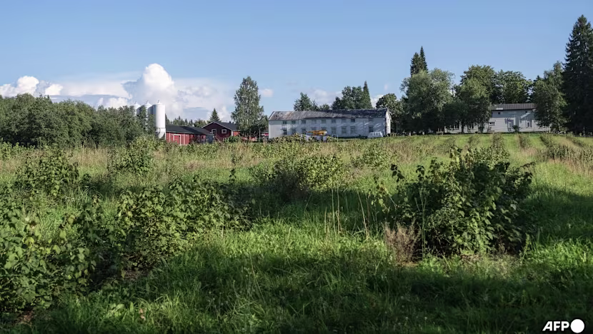 Finlandiya, Taylandlı meyve işçilerini sömüren iş insanına hapis cezası verdi