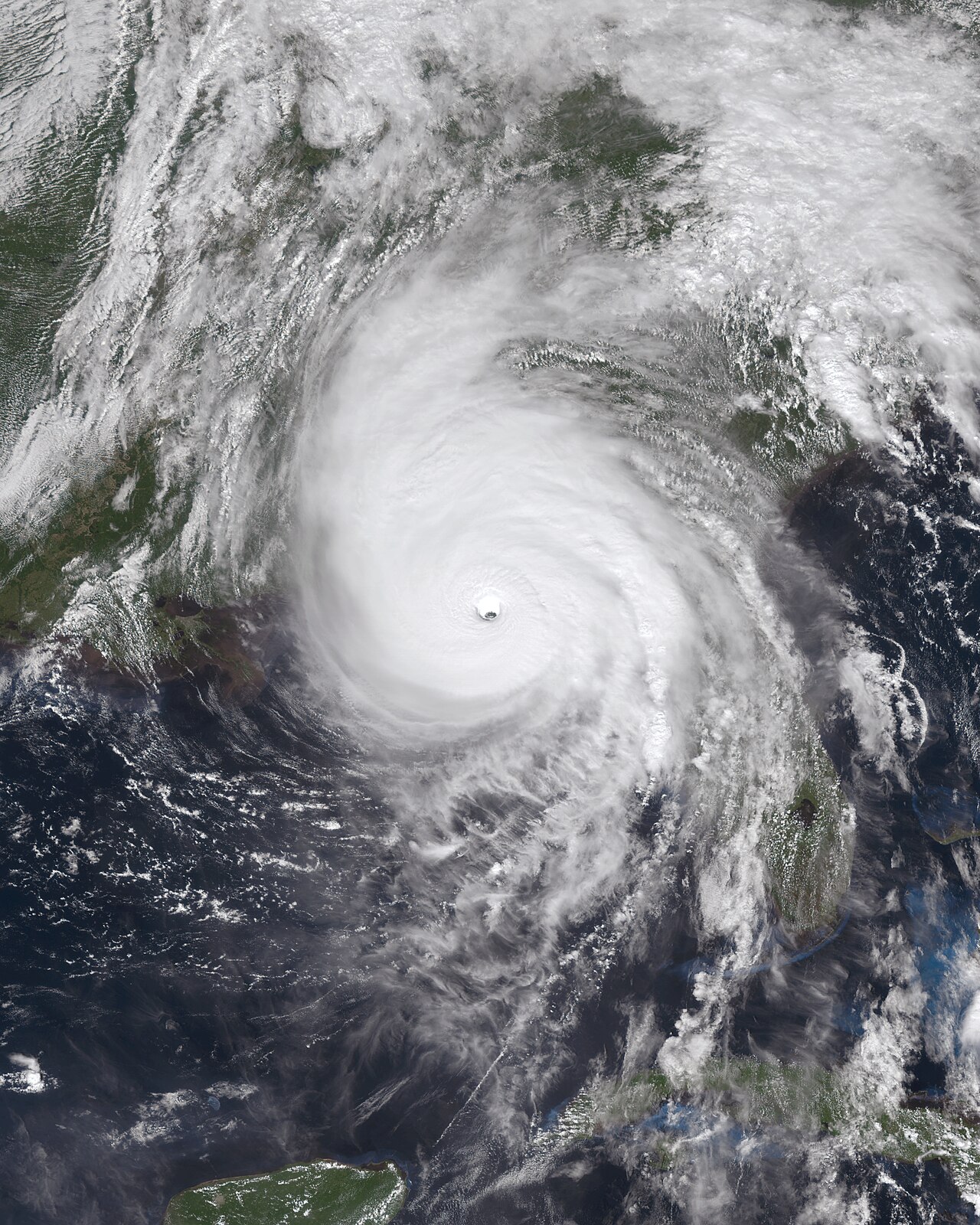 Florida'da Kasırga Sonrası 'Afet Yerlileştirmesi' Yükselişte