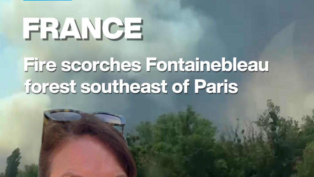 Fontainebleau Ormanı'nda Büyük Yangın: 1000 Hektar Küle Döndü