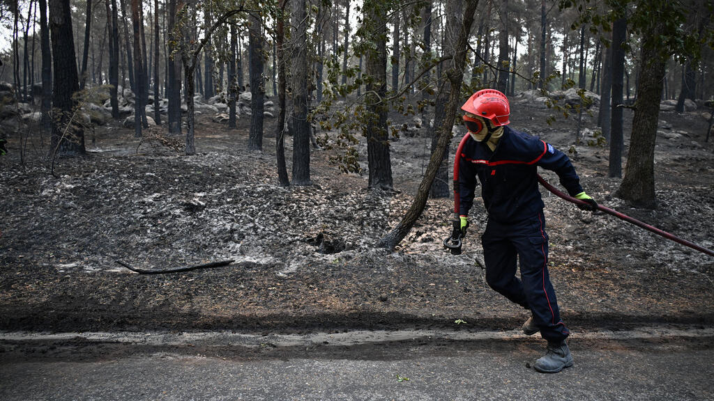 Fontainebleau Ormanı'nda yangın: 2 bin hektar kül oldu