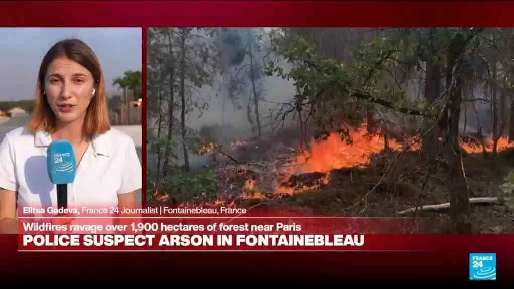 Fontainebleau Ormanı'nda yangın: Fransız polisi sabotajdan şüpheleniyor