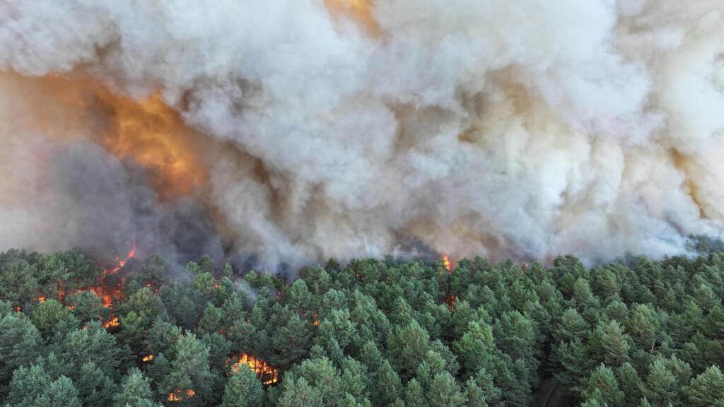 Fontainebleau Ormanı'ndaki Yangın Kontrol Altına Alındı, Söndürme Çalışmaları Sürüyor