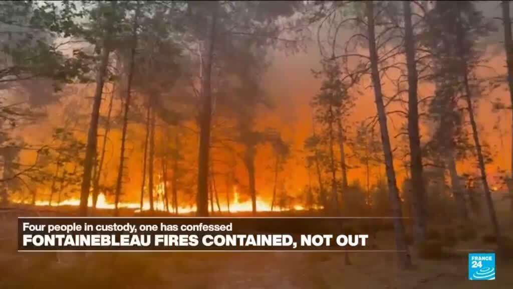 Fontainebleau Ormanı'ndaki Yangınlar Kontrol Altına Alındı, İki Kişi Gözaltında