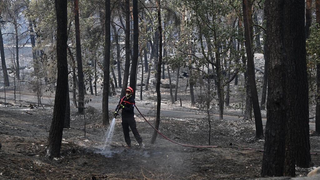 Fontainebleau Ormanı'nda Yangın Yeniden Alevlendi