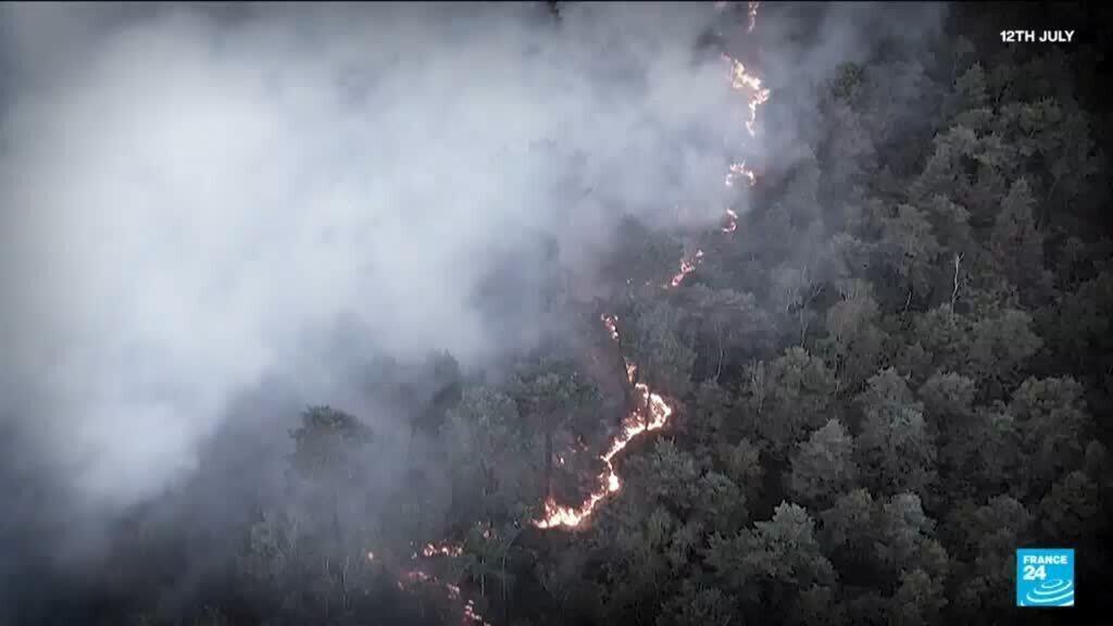 Fontainebleau Ormanı yangından bir ay sonra yeniden ziyarete açıldı