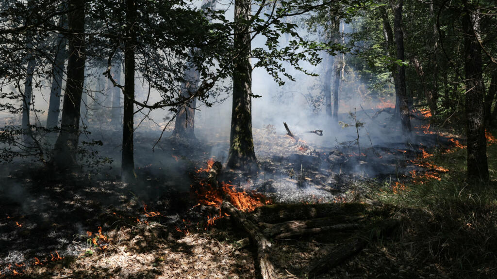 Fontainebleau yangınında ormanın yüzde 5'i kül oldu
