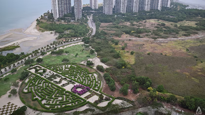 Forest City'nin Canlanma Umuduna Dolandırıcılık Darbesi