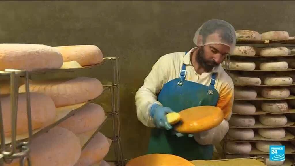 Fransa'da Rekor Kuraklık Peynir Üretimini Vurdu