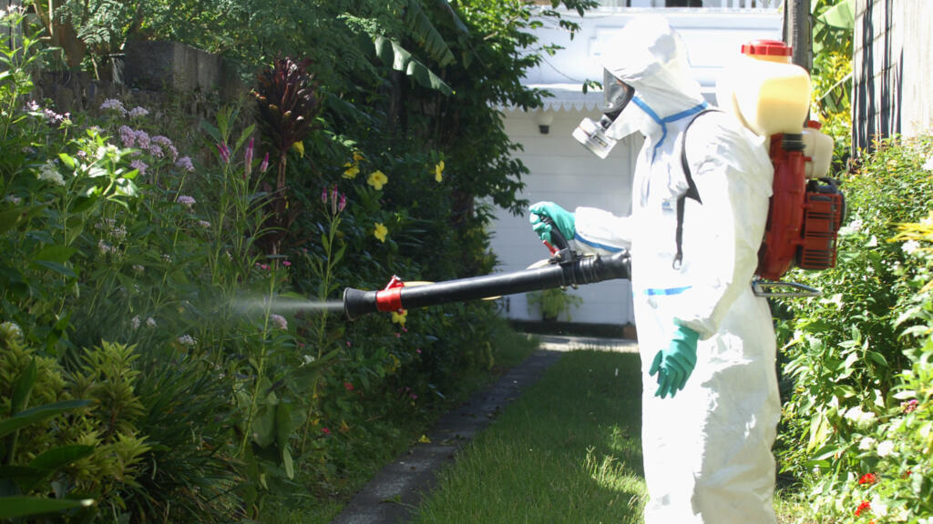 Fransa'da chikungunya alarmı: 20 vaka sonrası sivrisinekle mücadele artırıldı