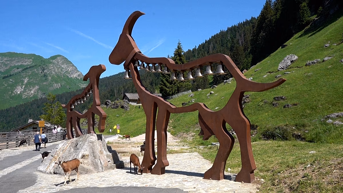 Fransız Alpleri'ndeki köyde keçiler özgür dolaşıyor: Turistlerin yeni gözdesi