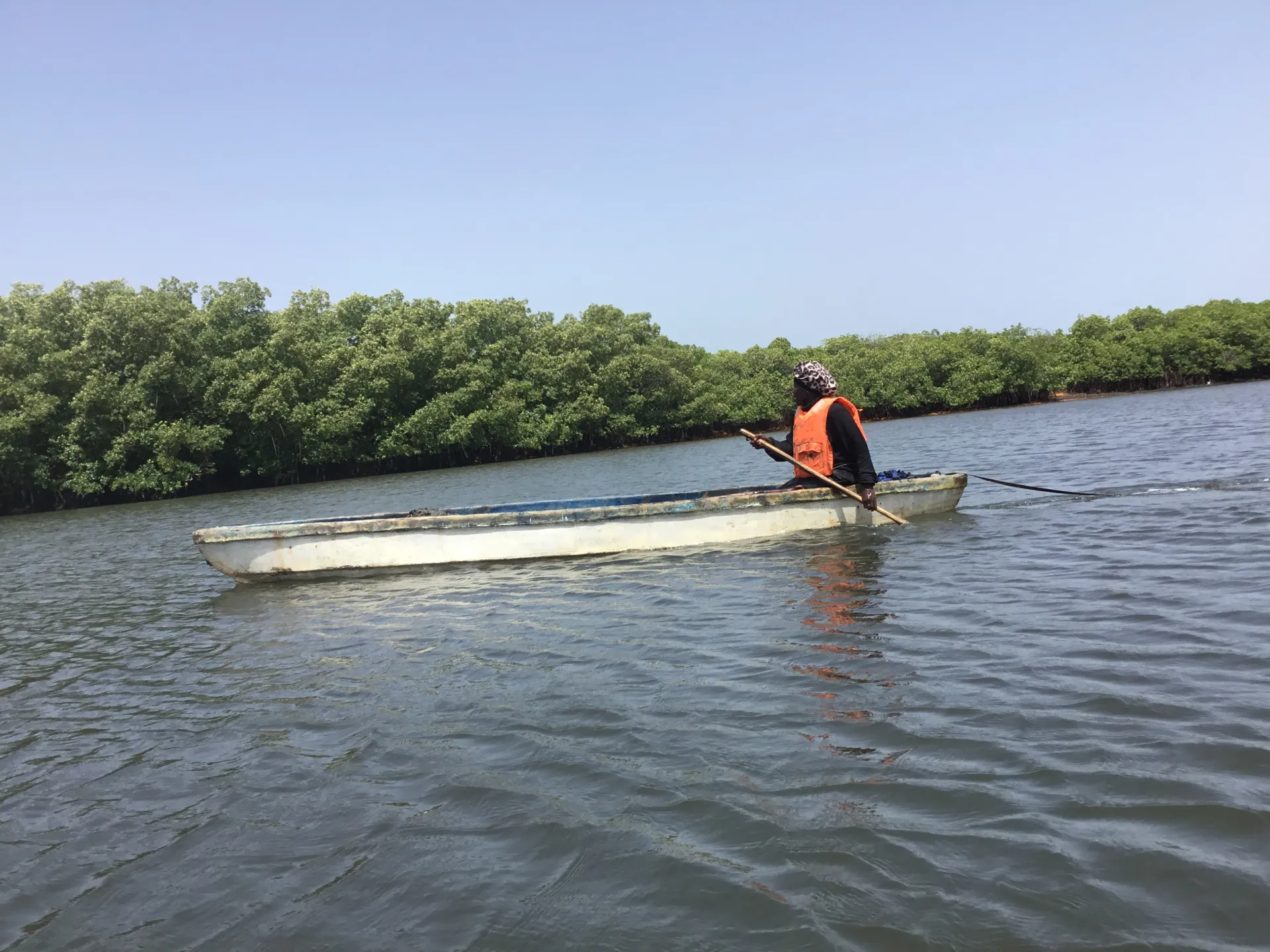 Gambiyalı kadınların mangrov restorasyonu Banjul'u koruyor