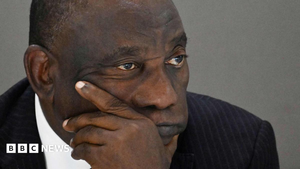Gana-Güney Afrika gerilimi: Cumhurbaşkanı ziyareti ertelendi