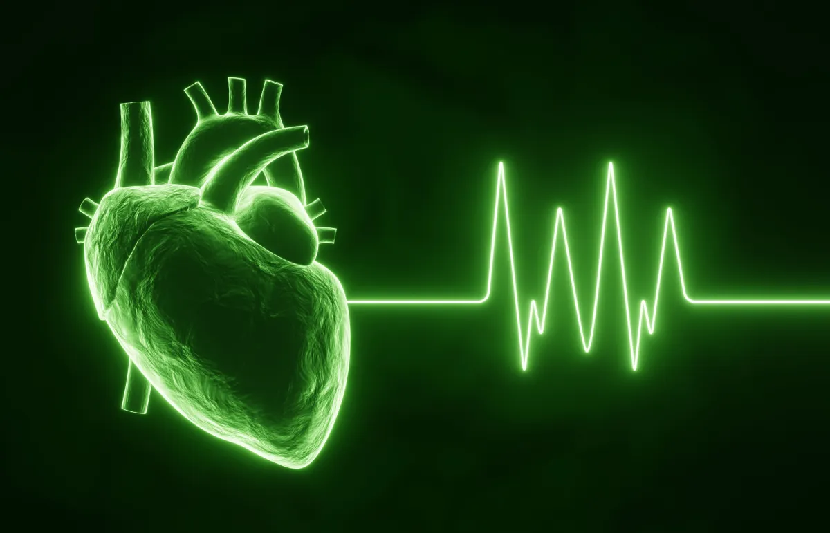 Geleneksel EKG Eğitimi Neden Yetersiz Kalıyor