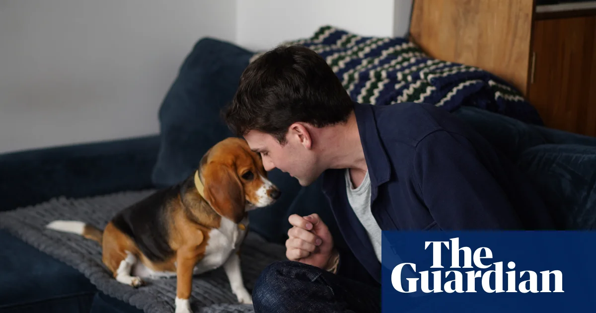 Gen Düzenlenen Köpekler Alerjiye Çözüm Olabilir