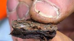 Giant's Causeway'den 10 Bin Madeni Para Çıkarıldı