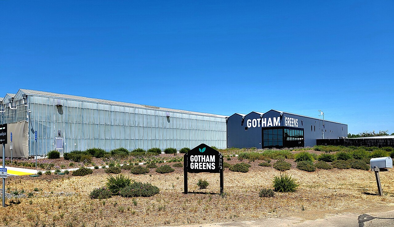 Gotham Greens CEO'su Gıda Güvenliği Alarmında