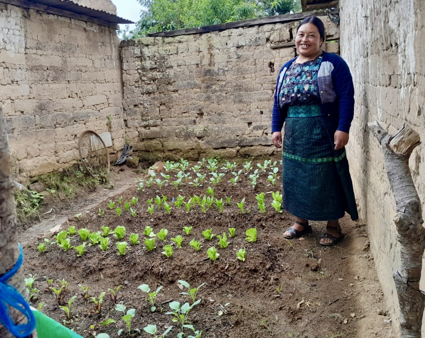 Guatemala'da yerli kadınlar geleneksel ve modern yöntemlerle iklime direnç kazanıyor
