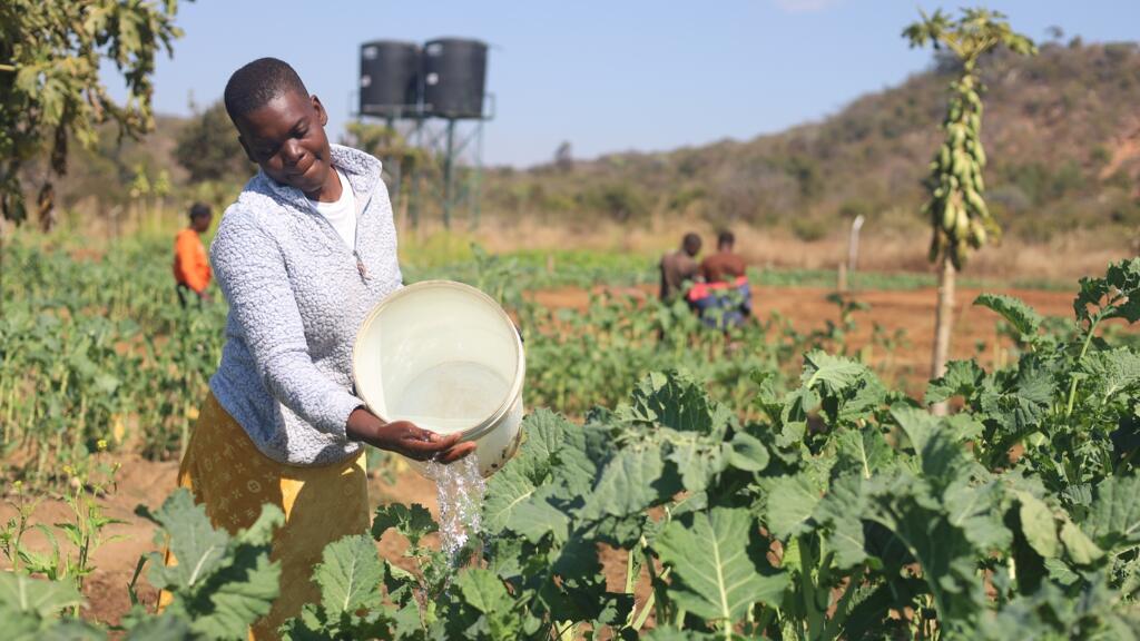 Güneş Enerjili Topluluk Bahçeleri Zimbabve'de Kuraklığa İnandı