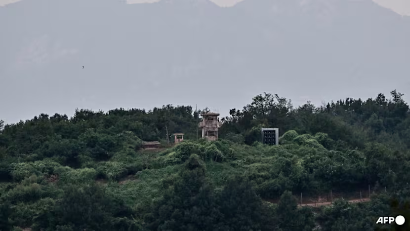 Güney Kore: DMZ'deki patlamanın nedeni Kuzey Kore mayını