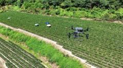 Güney Kore'de Tarihi Sıcak Hava Dalgası: Drone Uyarıları ve Havaalanında Sığınma