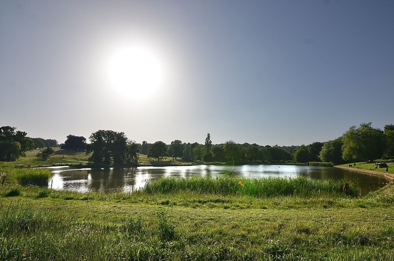 Hampstead Heath Göletleri Trans Bireylere Açık Kalmaya Devam Edecek