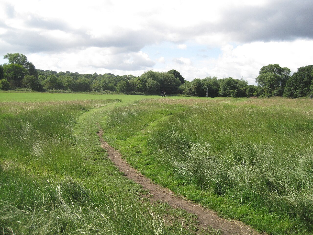 Hampstead Heath'teki yüzücü tartışması iklim adaletine dönüştü