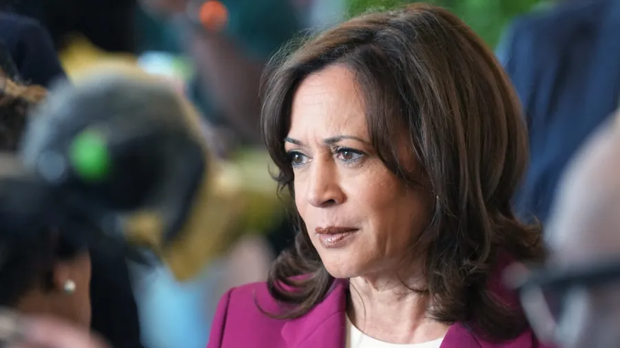 Harris'ten ABD Seçim Sisteminde Reform Çağrısı: 'Seçiciler Kurulu Yeniden Ele Alınmalı