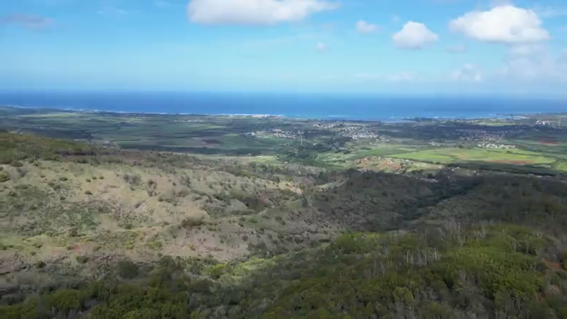 Hawaii'de tartışmalı teleferik projesi valinin veto yetkisiyle durduruldu